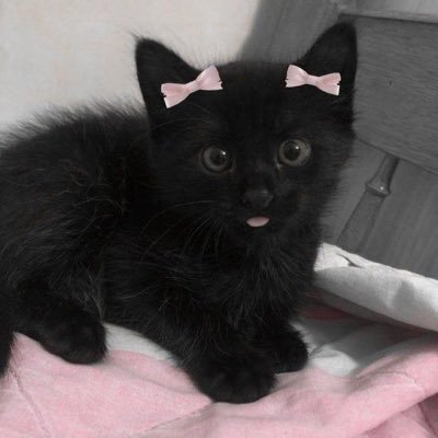 karolgabrielas's profile picture. manicurista y artista plastico. fb Xcry Costa Rica