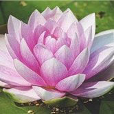 実業家/個人投資家/資産家。ビジネス失敗後、再チャレンジし数社を経営。最近は副業情報を発信したり、私自身お金に苦労したので生活に苦しんでいる方を救いたいと思い、僅かですが10万円プレゼント企画を実施中。 支援中▶https://t.co/jzHQjNgoqM