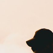 H23Paulo's profile picture. 22 anos | Torcedor da Loud | Lakers | São Paulo