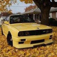 godo (@godo1337) 's Twitter Profile