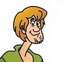 Shaggy (@thetrueshaggy) 's Twitter Profile Photo Shaggy (@thetrueshaggy) 's Twitter Profile Photo