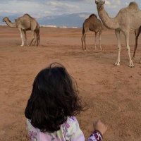 نوال | 𐩬𐩸𐩱𐩡🦋 (@nawal_mohsen0) 's Twitter Profile