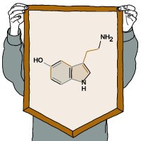 Serotonin (@serotoninpoetry) 's Twitter Profile Photo Serotonin (@serotoninpoetry) 's Twitter Profile Photo