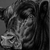 carnes san carlos (@sancarnes82247) Twitter profile photo carnes san carlos (@sancarnes82247) Twitter profile photo