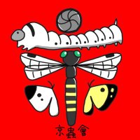 るいた⛩京都公認蟲神器サポーター (@kyochukai) 's Twitter Profile