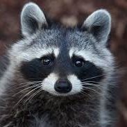 EvgenShuler's profile picture. I love walking in nature!