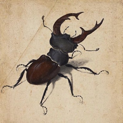 mertciftdemir's profile picture. Uskumrusever