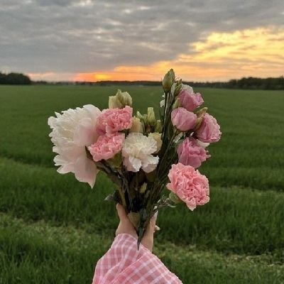 schatzz8's profile picture. 𝑫𝒂𝒔 𝑳𝒆𝒃𝒆𝒏 𝒈𝒆𝒉𝒕 𝒘𝒆𝒊𝒕𝒆𝒓...