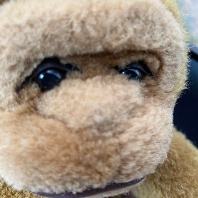 Not_luvvu's profile picture. monkey