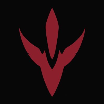 VIRTUINKさんのプロフィール画像