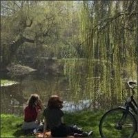 Tetauth (@tetauthocfp) 's Twitter Profile