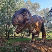 Kat McQueen (@bk_53) 's Twitter Profile