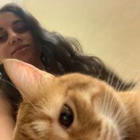 Engy Sarhan إنجي سرحان (@engyymohsen2) 's Twitter Profile