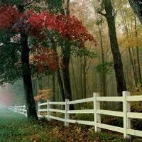 vijay kumar (@vk005web) 's Twitter Profile