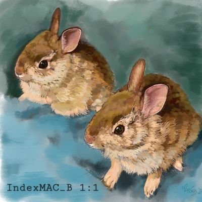 IndexMAC_B's profile picture. @StarMACmagazine©️《 music index 1:1 》IDR | Our passion is the balance between sound and silence... ⎔