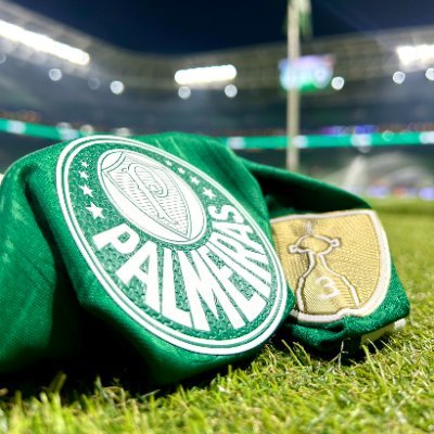 RafaelSrpr's profile picture. FANÁTICO PELO PALMEIRAS!