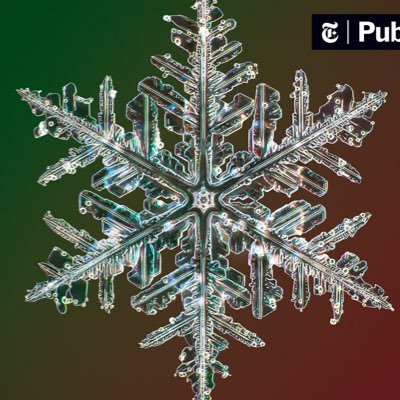 asiansneverdie7's profile picture. 