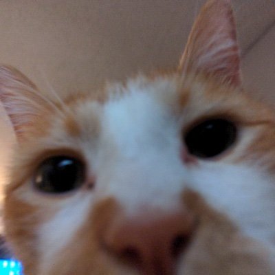 FrostyThe5th's profile picture. hey, how’s it going. I’m 18, calm down.