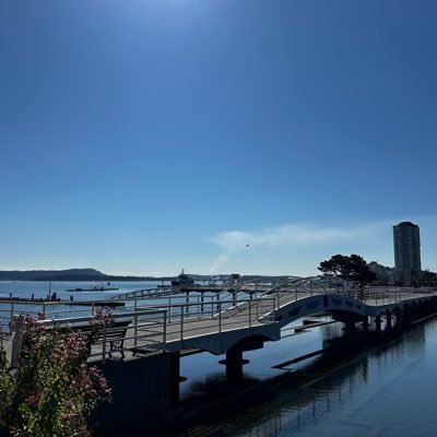 DilkyFelsinger's profile picture. Bits n pieces