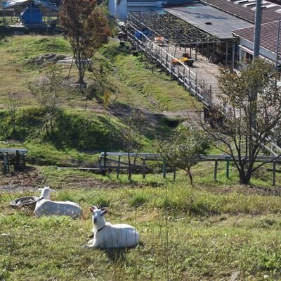 宙わたる教室出身。
ロックバー新宿3アップルカート。成田悠輔とセンの共著に期待。Curryはガビアル。藤井風が米津玄師と紅白で競演しないかな。