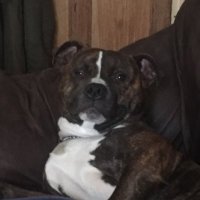 ian (@ianb_92) 's Twitter Profile