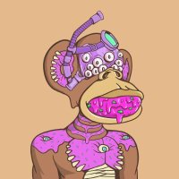 Alpha Kitty (@alphakitty63867) 's Twitter Profile