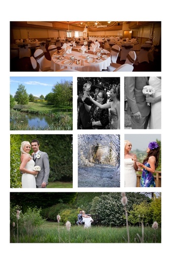 NettleHillweddi's profile picture. 