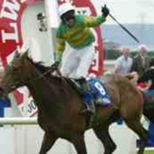 PPBetting's profile picture. Steady profits month in month out, guarenteed. Finding good value favourites in the right races.