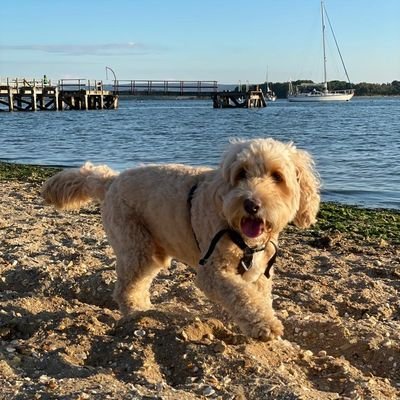 MichelleDa8553's profile picture. 