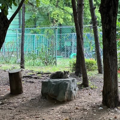 rosej017's profile picture. 