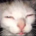 UnworkSvt's profile picture. 