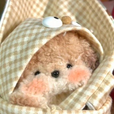 自分を信じて、一歩ずつ進もう。🎐🎏