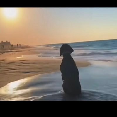 guxinggi1's profile picture. 严重性瘾 喜欢约各种类型的美女 只为了快乐 不涉及感情 追求极致的刺激