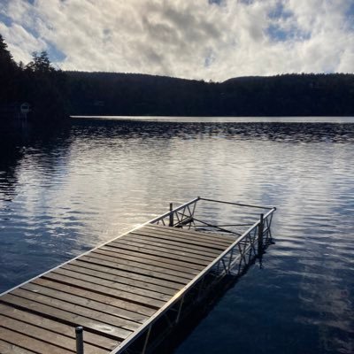 huntingthefox's profile picture. 