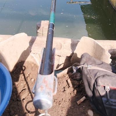 niyar_dey62417's profile picture. 