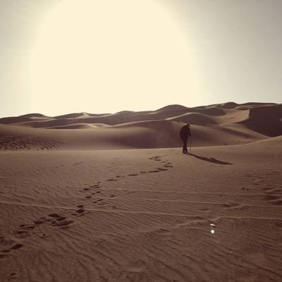 AurielleTa71163's profile picture. 创业失败，并不代表人生失败！web3开启新征程！