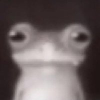 brmbrm (@_relph_) 's Twitter Profile