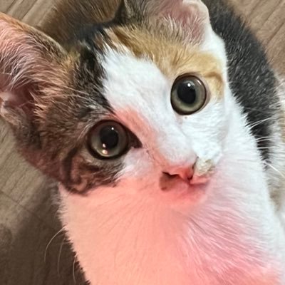 ☹️さんのプロフィール画像