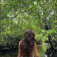 Rose Harrold (@roughshenk) 's Twitter Profile