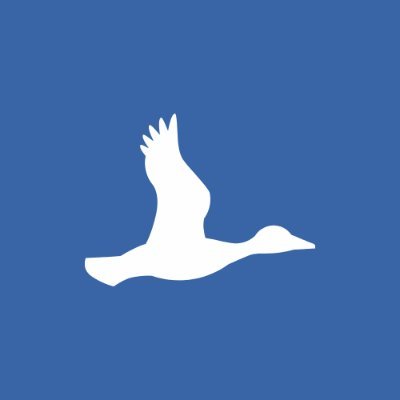 @DuckPond_VR