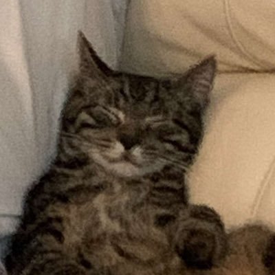 ElminDev's profile picture. SWE | Building @GetClaimable