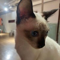 informzzz (@informzzz) 's Twitter Profile