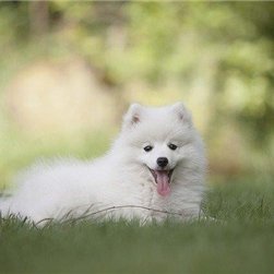 副業で安定した収入を得る方法を紹介中。副業を始めたい人にお得な情報をお届け。わずかですがお金配り企画もしております♫ 期間限定▶https://t.co/ihhAjGeQW3