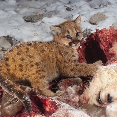 030619g's profile picture. 19| just scrolling thru |