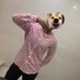 夯in-baby(重庆-成都) (@hangin1069) Twitter profile photo 夯in-baby(重庆-成都) (@hangin1069) Twitter profile photo