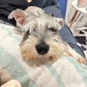 Lourdes Thea Castro - @TheaCastro65624 - Twitter