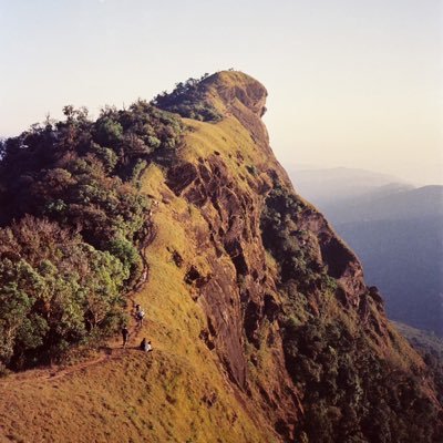 TheWall52570058's profile picture. 