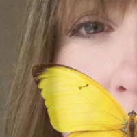 Wild Heart 🦋🦋🦋🦋🦋 (Jo) (@animal7608666) 's Twitter Profile