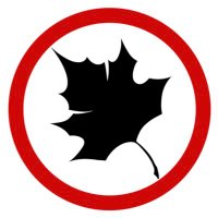Autumn Station(CM OPEN) (@autumn_station_) 's Twitter Profile
