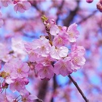 実業家/個人投資家。ビジネス失敗後、再チャレンジし数社を経営。今はお得な情報を教えたり、私自身お金に苦労したのでお金に苦しんでいる方を救いたいと思い、少しですが現金プレゼント企画を始めました♫ フォロワーさん優先▶https://t.co/BplzlH5LVr